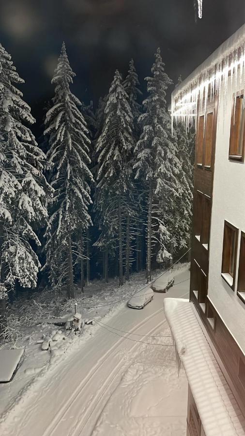 Cozy Apartment B35 In Grand Resort Pamporovo Exterior foto